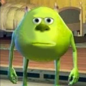 Meet your Posher, Diego